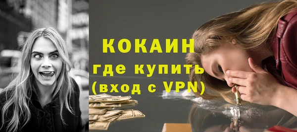 стафф Новодвинск