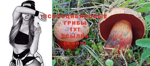 мескалин Белокуриха