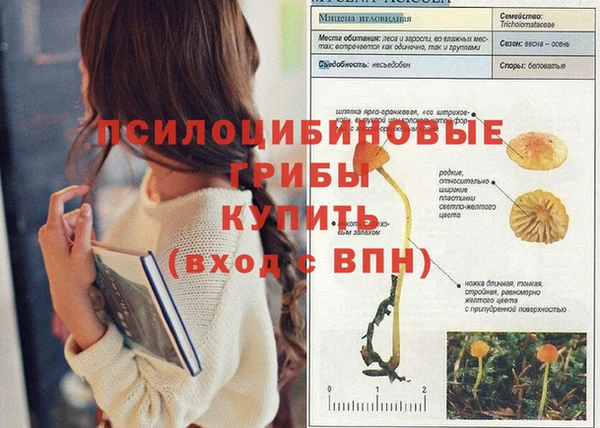 mdpv Беломорск