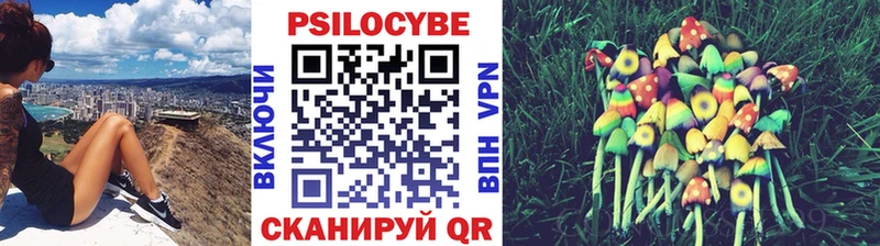 Псилоцибиновые грибы Psilocybe  купить наркотик  Балахна 
